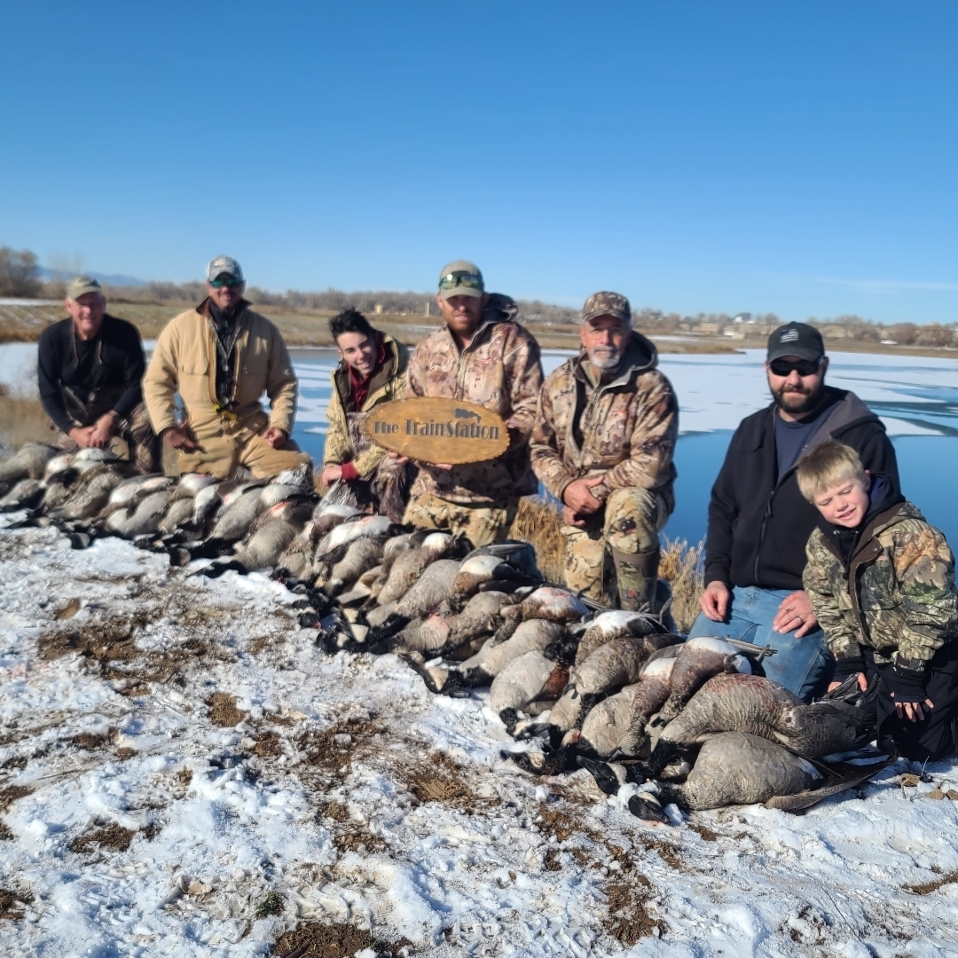 Colorado Goose Season