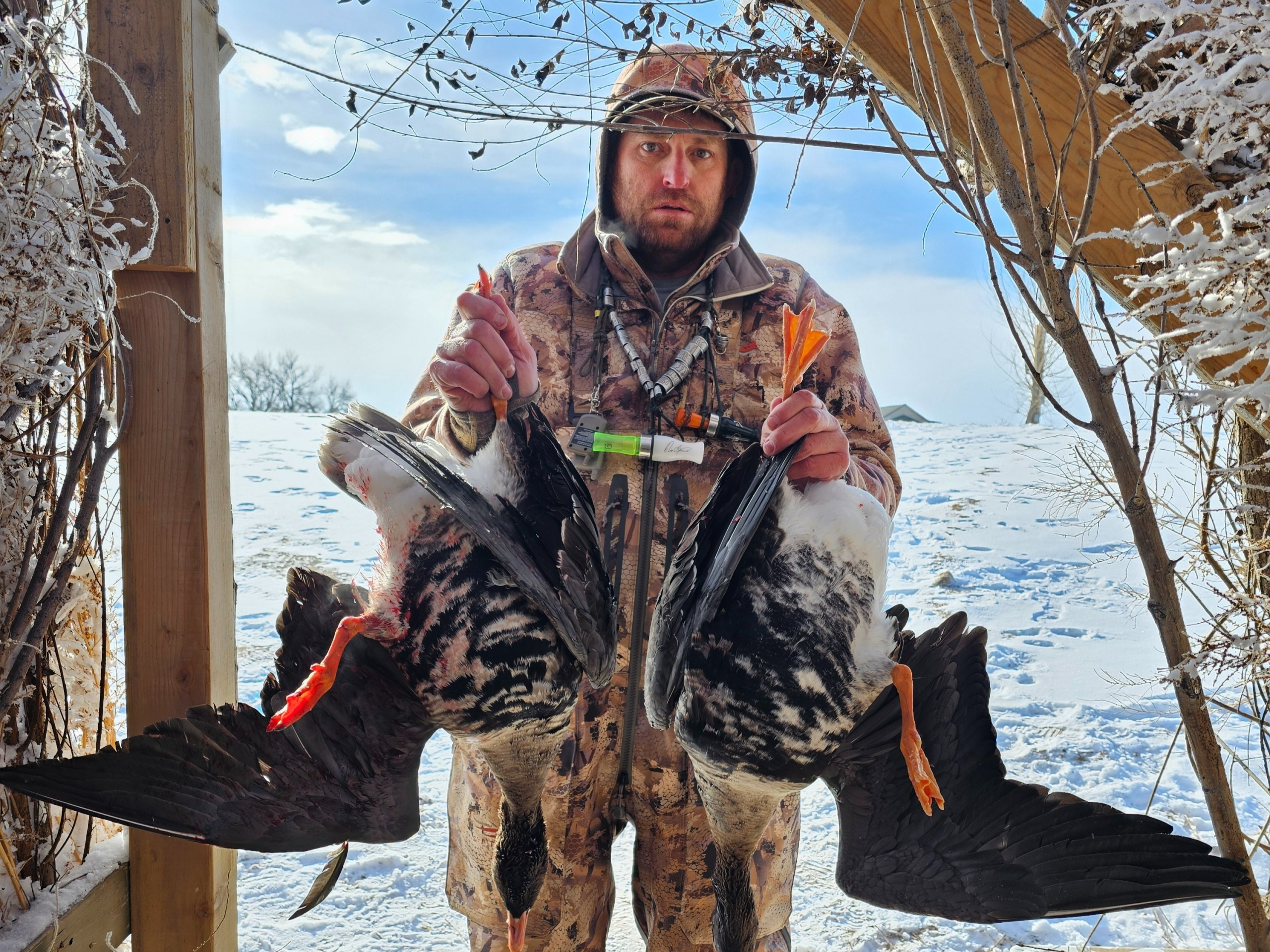 BTO-Waterfowl-20