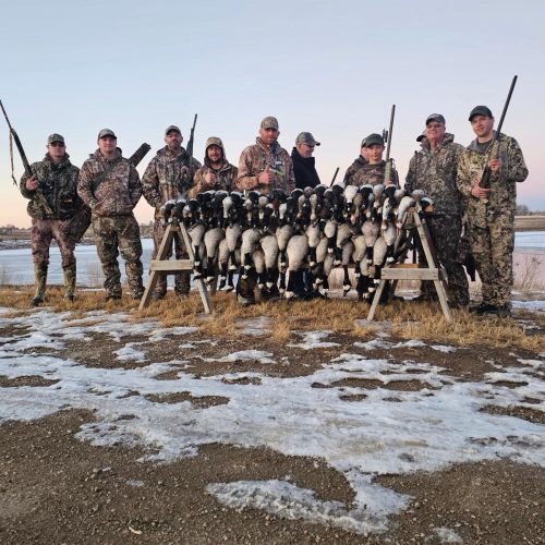 Colorado Duck Hunting Season