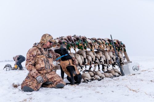 Colorado Duck Hunting Season