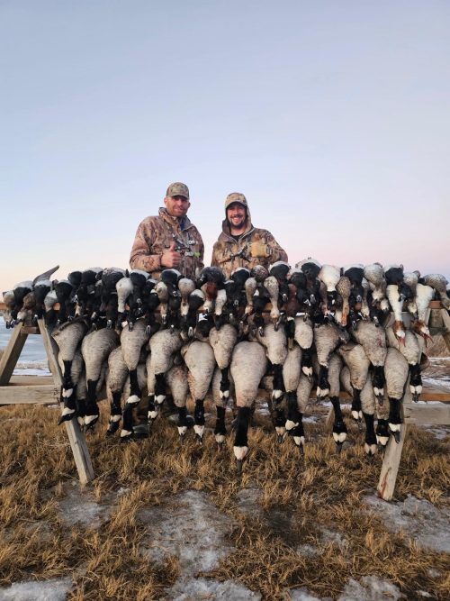 Goose Hunts